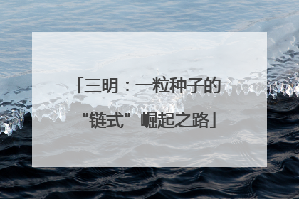 三明：一粒种子的“链式”崛起之路