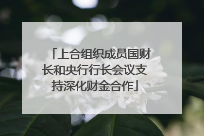 上合组织成员国财长和央行行长会议支持深化财金合作