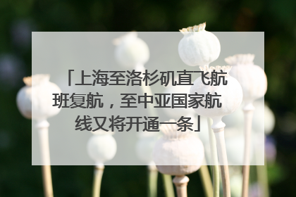 上海至洛杉矶直飞航班复航，至中亚国家航线又将开通一条