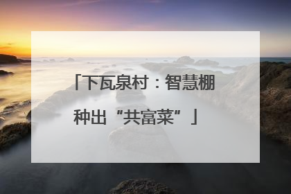 下瓦泉村：智慧棚种出“共富菜”