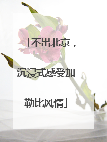 不出北京，沉浸式感受加勒比风情