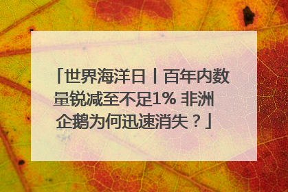 世界海洋日丨百年内数量锐减至不足1% 非洲企鹅为何迅速消失？
