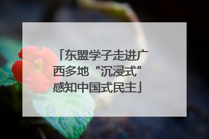 东盟学子走进广西多地“沉浸式”感知中国式民主