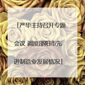 严华主持召开专题会议 调度邵阳市先进制造业发展情况