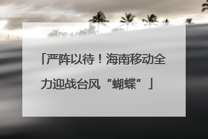 严阵以待！海南移动全力迎战台风“蝴蝶”