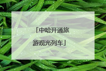 中哈开通旅游观光列车