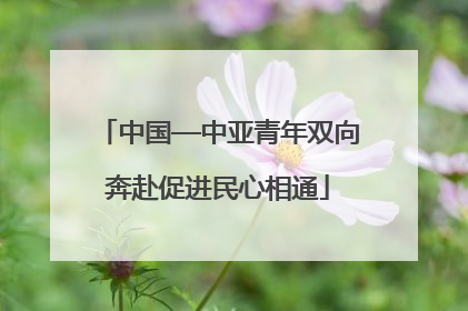 中国—中亚青年双向奔赴促进民心相通