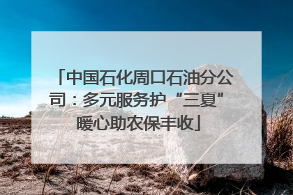 中国石化周口石油分公司：多元服务护“三夏” 暖心助农保丰收