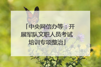 中央网信办等：开展军队文职人员考试培训专项整治
