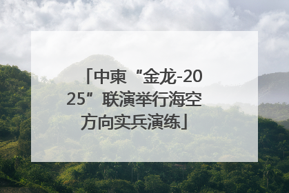 中柬“金龙-2025”联演举行海空方向实兵演练