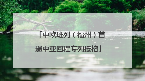 中欧班列（福州）首趟中亚回程专列抵榕
