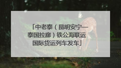 中老泰（昆明安宁—泰国拉廊）铁公海联运国际货运列车发车
