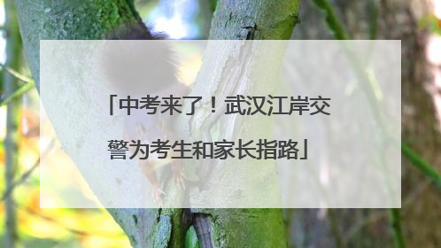 中考来了！武汉江岸交警为考生和家长指路