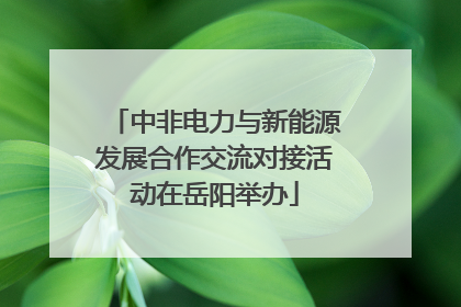 中非电力与新能源发展合作交流对接活动在岳阳举办