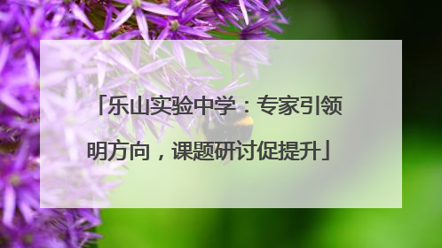 乐山实验中学：专家引领明方向，课题研讨促提升
