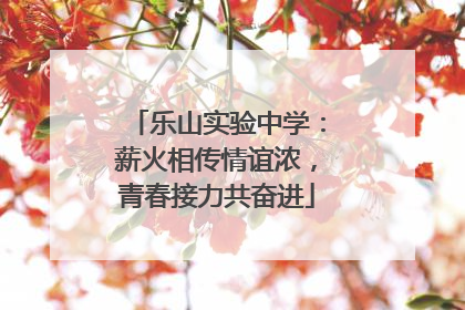 乐山实验中学：薪火相传情谊浓，青春接力共奋进