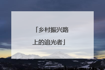 乡村振兴路上的追光者