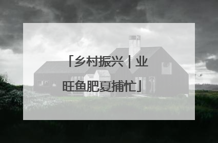 乡村振兴｜业旺鱼肥夏捕忙