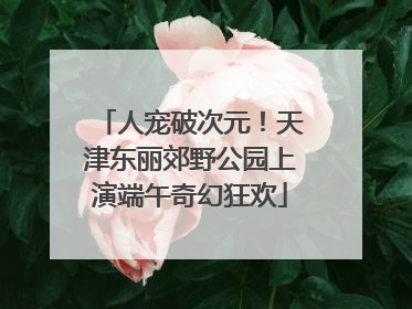 人宠破次元！天津东丽郊野公园上演端午奇幻狂欢