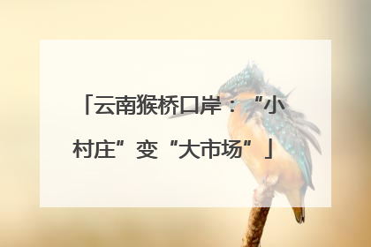 云南猴桥口岸：“小村庄”变“大市场”