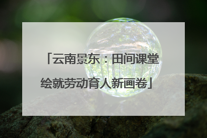 云南景东：田间课堂绘就劳动育人新画卷