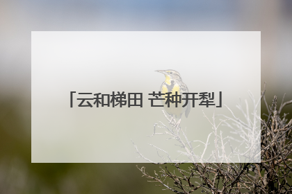 云和梯田 芒种开犁