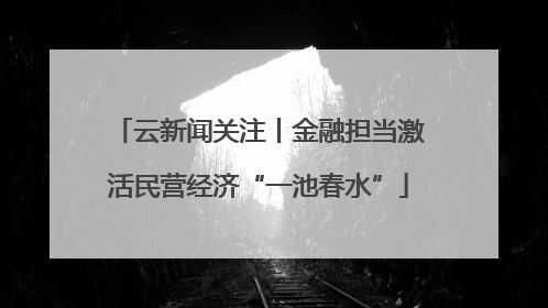 云新闻关注丨金融担当激活民营经济“一池春水”