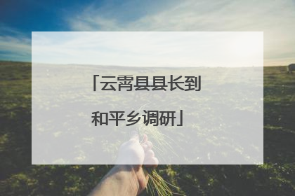 云霄县县长到和平乡调研