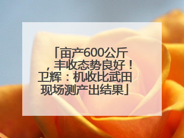 亩产600公斤，丰收态势良好！卫辉：机收比武田现场测产出结果