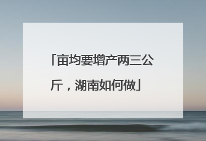 亩均要增产两三公斤，湖南如何做