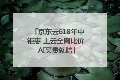 京东云618年中钜惠 上云全网比价 AI买贵就赔