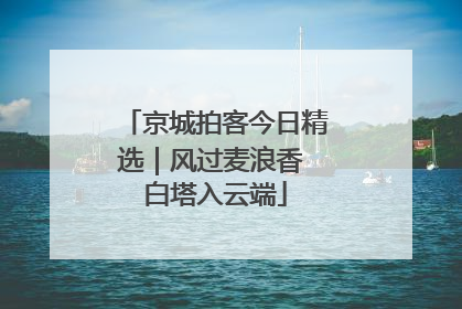 京城拍客今日精选｜风过麦浪香 白塔入云端