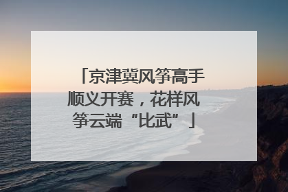 京津冀风筝高手顺义开赛，花样风筝云端“比武”