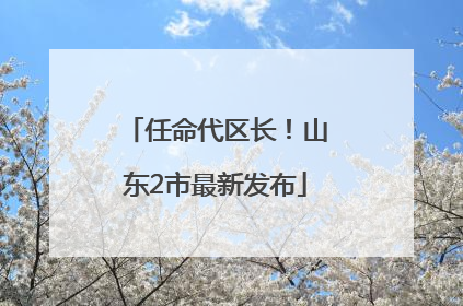 任命代区长！山东2市最新发布