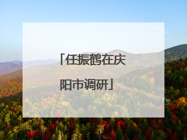 任振鹤在庆阳市调研
