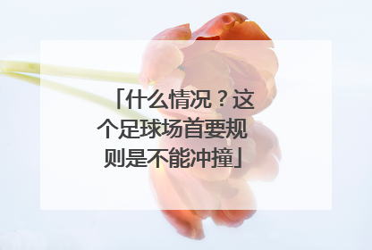 什么情况？这个足球场首要规则是不能冲撞