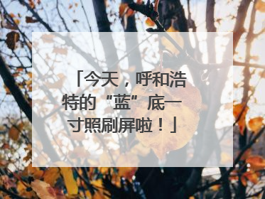 今天，呼和浩特的“蓝”底一寸照刷屏啦！