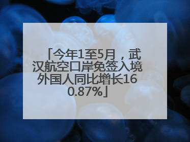 今年1至5月，武汉航空口岸免签入境外国人同比增长160.87%