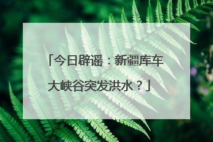 今日辟谣：新疆库车大峡谷突发洪水？