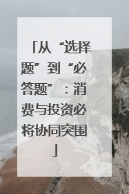 从“选择题”到“必答题”：消费与投资必将协同突围