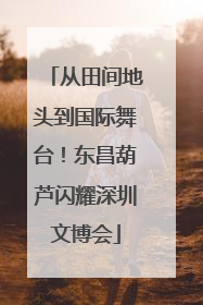 从田间地头到国际舞台！东昌葫芦闪耀深圳文博会