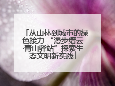 从山林到城市的绿色接力 “漫步缙云·青山驿站”探索生态文明新实践