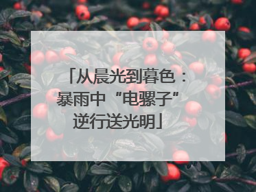 从晨光到暮色：暴雨中“电骡子”逆行送光明
