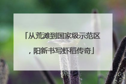 从荒滩到国家级示范区，阳新书写虾稻传奇