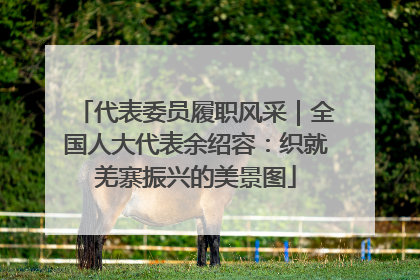 代表委员履职风采｜全国人大代表余绍容：织就羌寨振兴的美景图