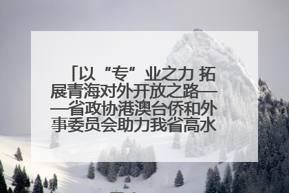 以“专”业之力 拓展青海对外开放之路——省政协港澳台侨和外事委员会助力我省高水平开放和高质量发展