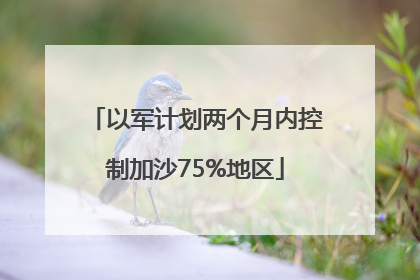 以军计划两个月内控制加沙75%地区