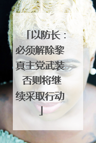 以防长：必须解除黎真主党武装 否则将继续采取行动