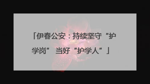 伊春公安：持续坚守“护学岗” 当好“护学人”