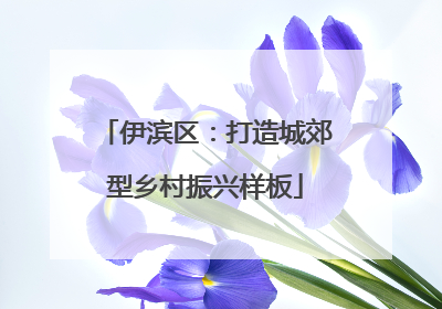 伊滨区：打造城郊型乡村振兴样板
